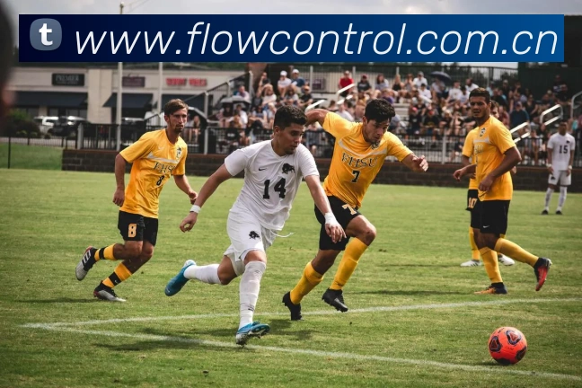 爱游戏ayx在线登录服务体系